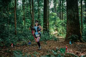 BIB: 
                            <button type="button" onclick="openModal(26129049)" class="btn btn-primary btn-sm float-right btn-popup" data-toggle="modal" data-target=".modal-high-quality">
                        <i class="fas fa-shopping-cart"></i> Add to Cart
                    </button>
                                            <button type="button" onclick="isThisMe(26129049, true)" class="btn btn-success btn-sm float-right btn-popup btn-isme hidden" data-toggle="tooltip" data-placement="bottom" title="นี่คือรูปของคุณใช่ไหม คลิกที่นี่เพื่อเอาเข้าอัลบั้ม">
                        <i class="fas fa-plus"></i> Add to album
                    </button>
                    <button type="button" onclick="isThisMe(26129049, false)" class="btn btn-warning btn-sm float-right btn-popup btn-isnotme hidden">
                        <i class="fas fa-ban"></i> Remove from album
                    </button>